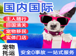 路桥空运国际宠物托运 【国